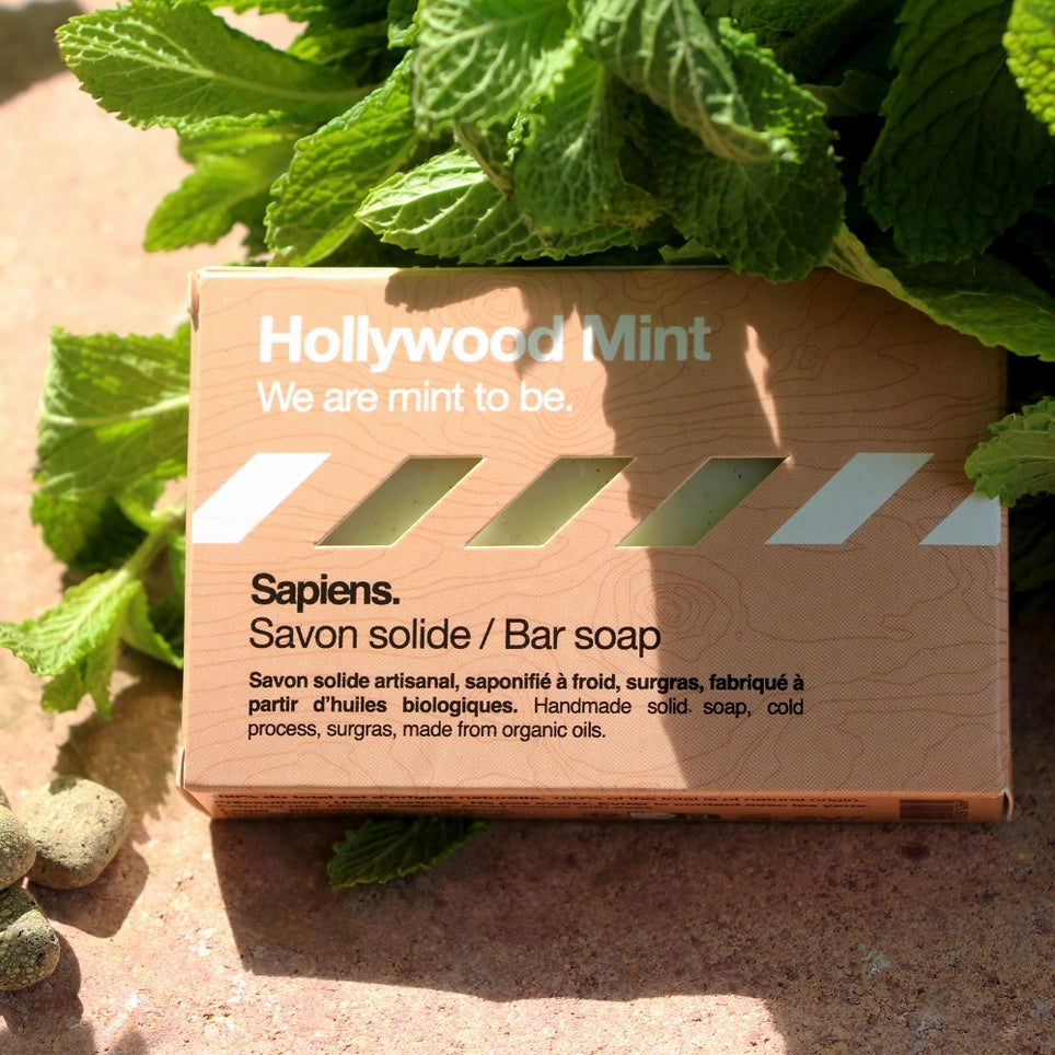 Savon solide | Hollywood Mint